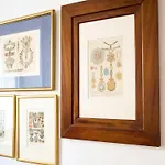 Center Appartement Sevilla